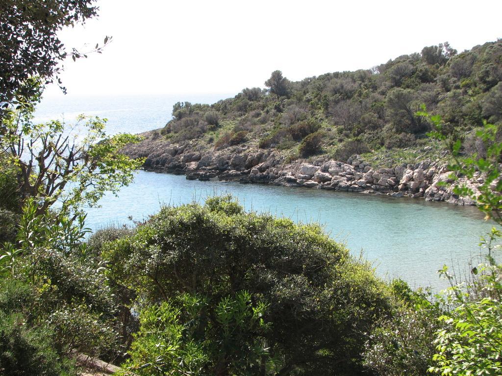 Apartments Vila Catic Potocnica Εξωτερικό φωτογραφία